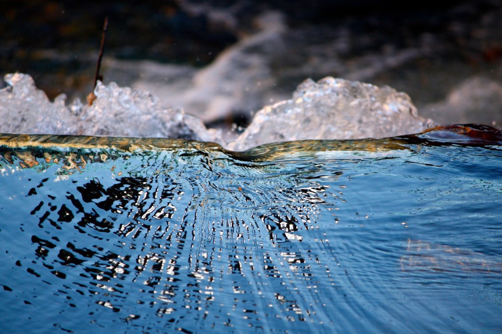 Going With the Flow:The Way of the&nbsp;Mind